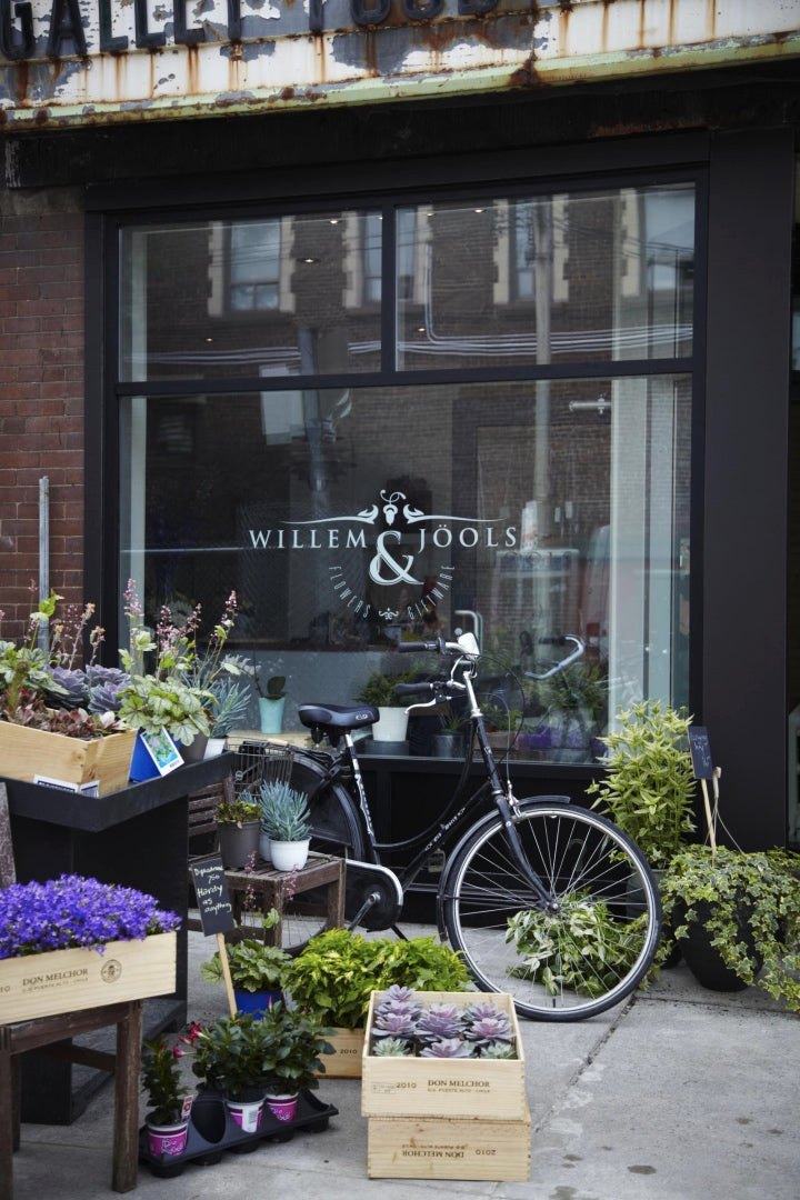 Willem and Jools storefront- Dutch bicycle parked