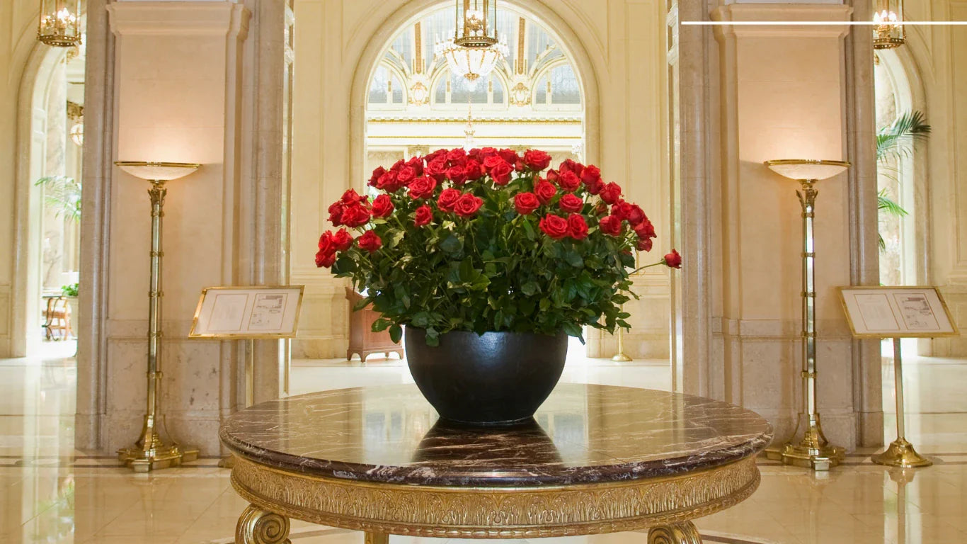 Hotel and Restaurant Floral Design